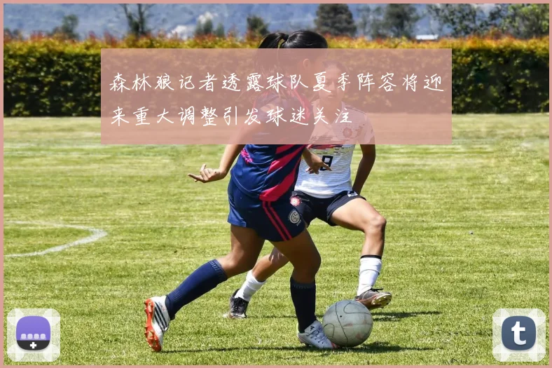 森林狼记者透露球队夏季阵容将迎来重大调整引发球迷关注